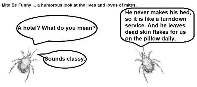 Mite Be Funny #150b Hotel