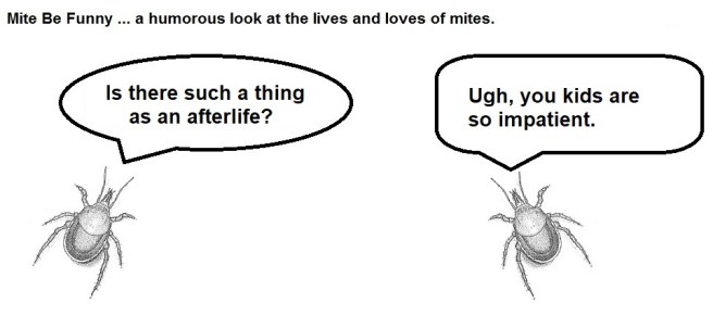 Mite Be Funny #151a Afterlife