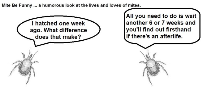 Mite Be Funny #151c Afterlife