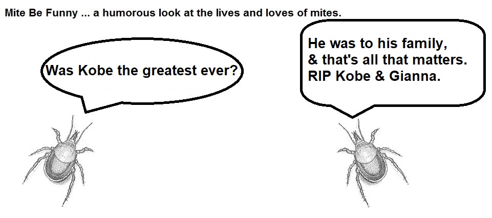 Mite Be Funny RIP Kobe Bryant