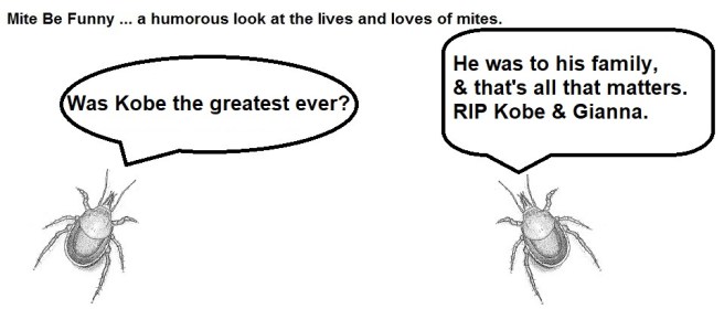 Mite Be Funny RIP Kobe Bryant