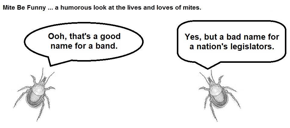 Mite Be Funny #154a Senate Republicans