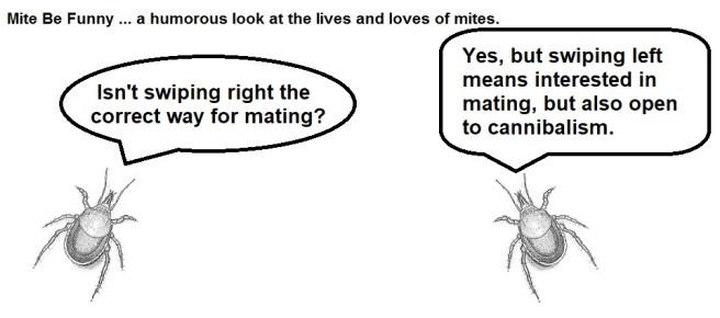 Mite Be Funny #156b Miter Part 2