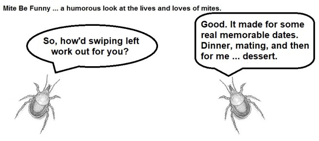 Mite Be Funny #156c Miter Part 2