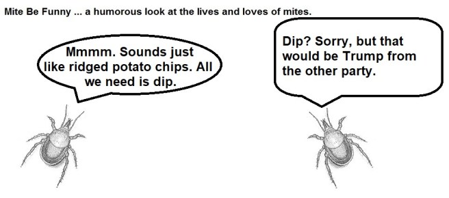 Mite Be Funny #160c Bernie Biden