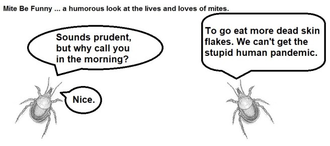 Mite Be Funny #162c Quarantine