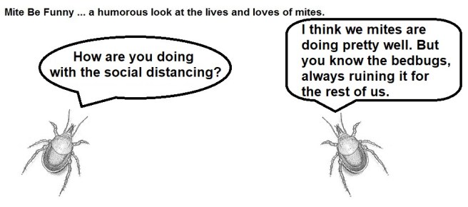 Mite Be Funny #163a Bloodsuckers