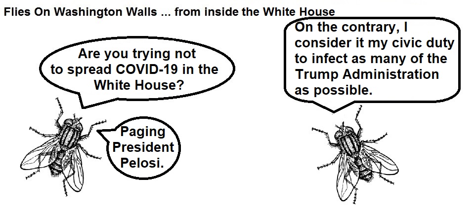 FOWW #168 White House