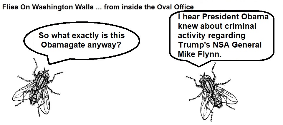 FOWW #169a Obamagate