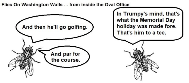 FOWW #171d Memorial Day