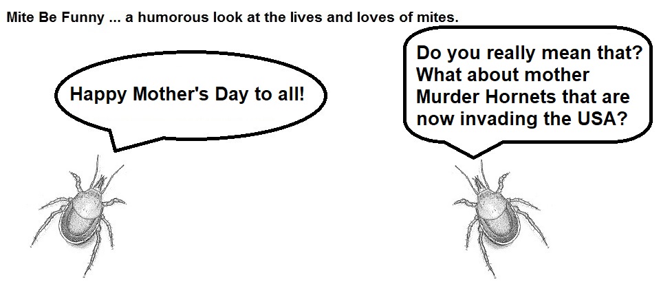 Mite Be Funny #169a Mother's Day