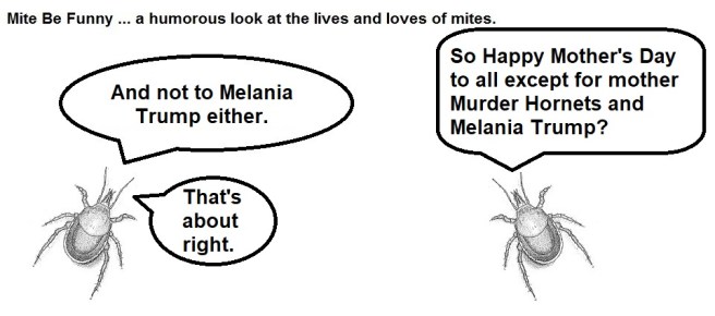 Mite Be Funny #169c Mother's Day