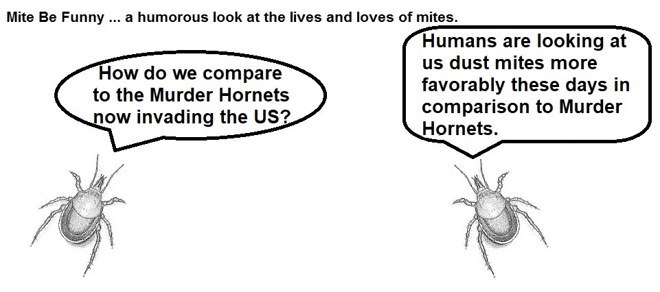 Mite Be Funny #170a Murder Hornets