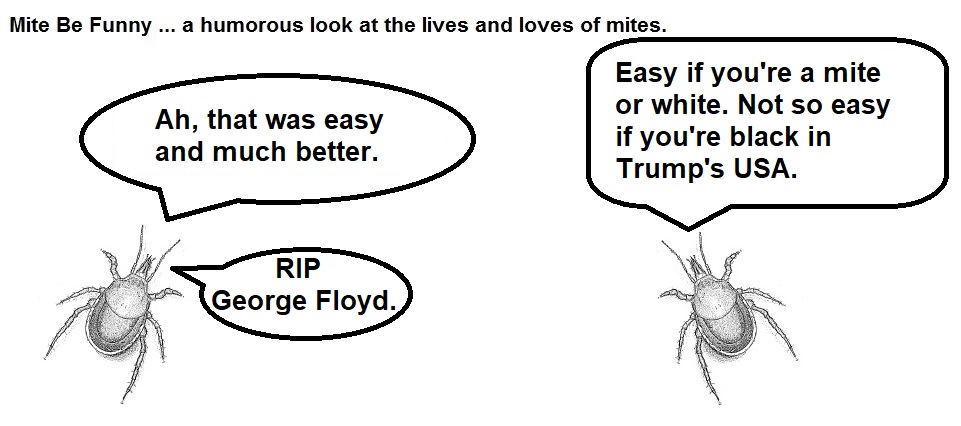 Mite Be Funny #172b Breathe