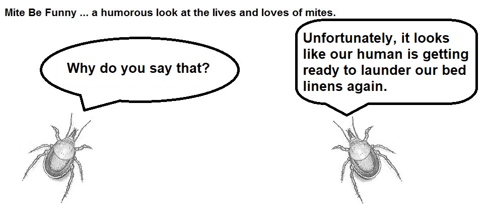 Mite Be Funny #173b MLM