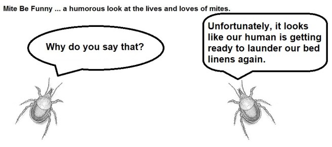 Mite Be Funny #173b MLM