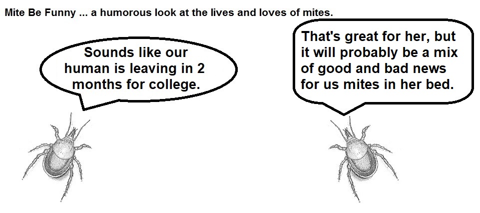 Mite Be Funny #176a College