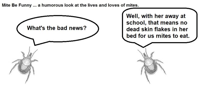 Mite Be Funny #176b College