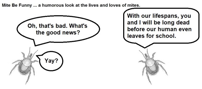 Mite Be Funny #176c College