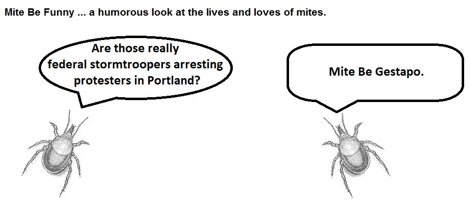 Mite Be Funny #179a Portland