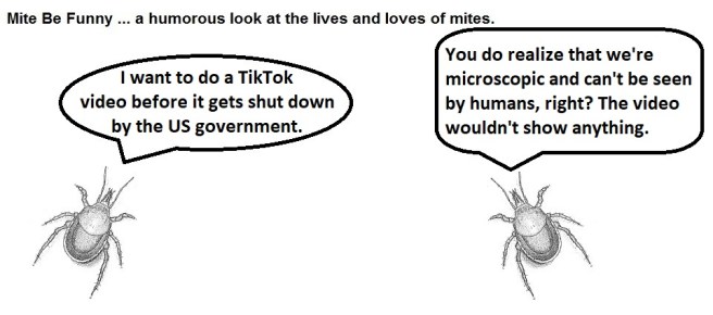 Mite Be Funny #181a TikTok