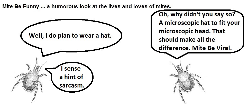 Mite Be Funny #181b TikTok