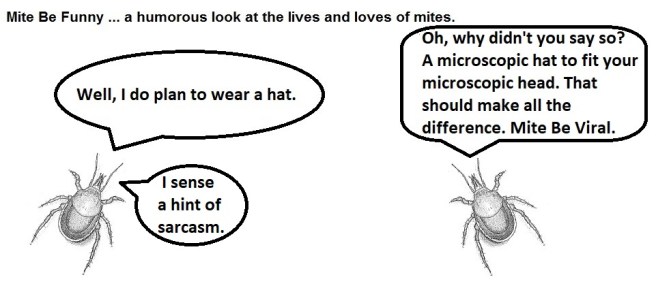 Mite Be Funny #181b TikTok