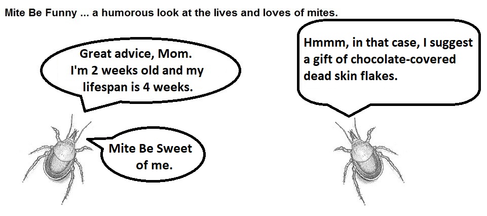 Mite Be Funny #182b Mating